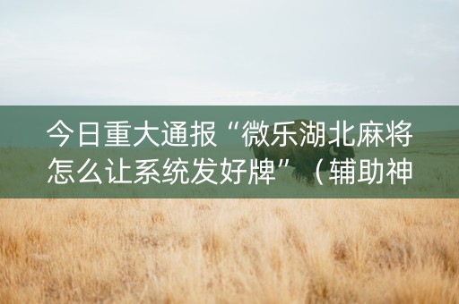 今日重大通报“微乐湖北麻将怎么让系统发好牌”（辅助神器免费)