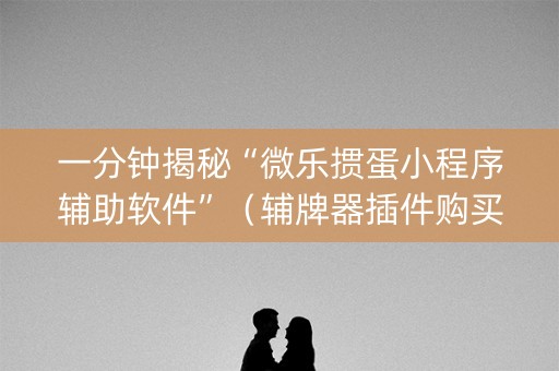 一分钟揭秘“微乐掼蛋小程序辅助软件”（辅牌器插件购买)