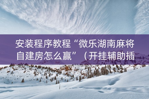 安装程序教程“微乐湖南麻将自建房怎么赢”（开挂辅助插件)