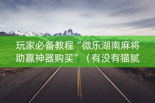玩家必备教程“微乐湖南麻将助赢神器购买”（有没有猫腻)
