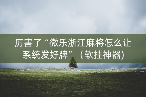 厉害了“微乐浙江麻将怎么让系统发好牌”（软挂神器)