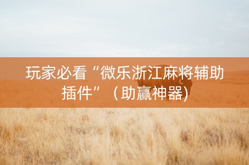 玩家必看“微乐浙江麻将辅助插件”（助赢神器)