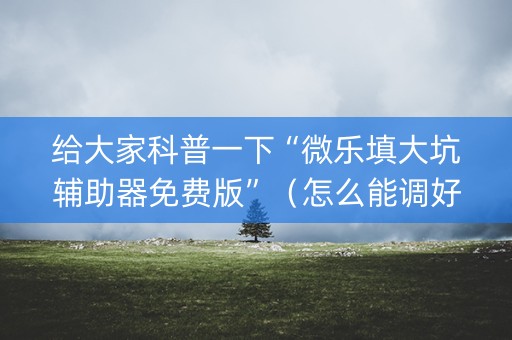 给大家科普一下“微乐填大坑辅助器免费版”（怎么能调好牌)
