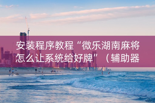 安装程序教程“微乐湖南麻将怎么让系统给好牌”（辅助器通用版)