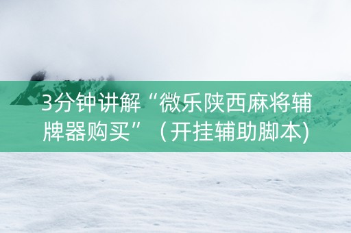 3分钟讲解“微乐陕西麻将辅牌器购买”（开挂辅助脚本)