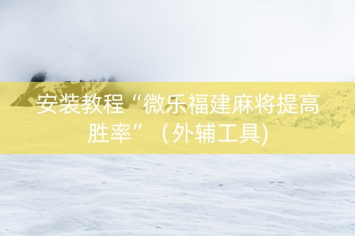 安装教程“微乐福建麻将提高胜率”（外辅工具)