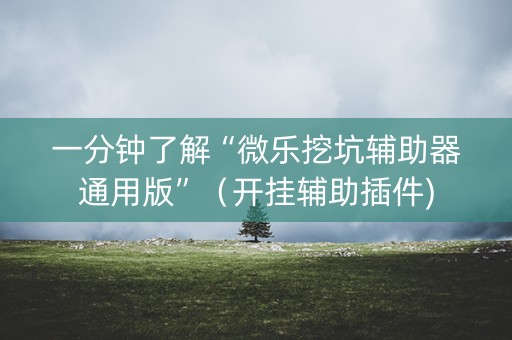 一分钟了解“微乐挖坑辅助器通用版”（开挂辅助插件)