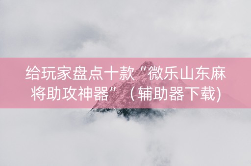 给玩家盘点十款“微乐山东麻将助攻神器”（辅助器下载)
