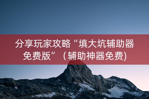 分享玩家攻略“填大坑辅助器免费版”（辅助神器免费)