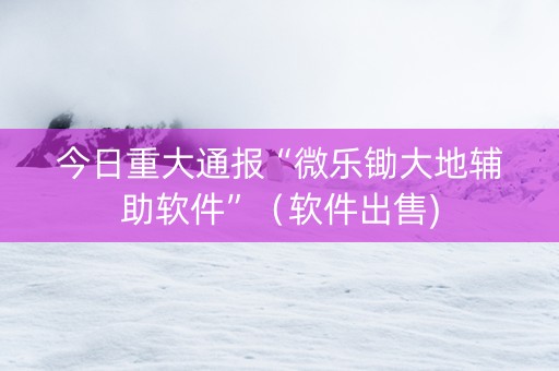 今日重大通报“微乐锄大地辅助软件”（软件出售)