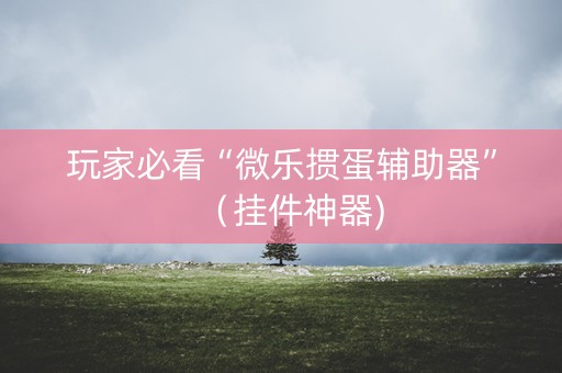 玩家必看“微乐掼蛋辅助器”（挂件神器)