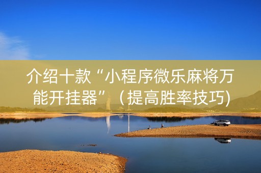 介绍十款“小程序微乐麻将万能开挂器”（提高胜率技巧)