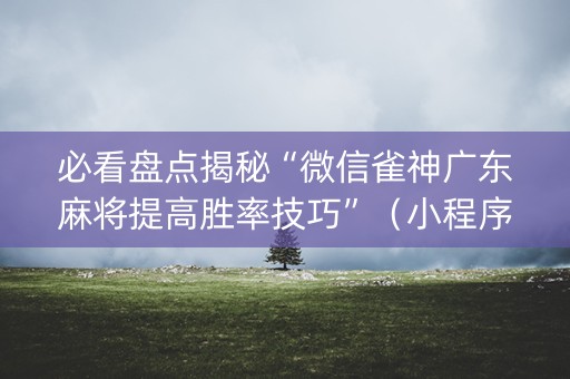 必看盘点揭秘“微信雀神广东麻将提高胜率技巧”（小程序辅助软件)