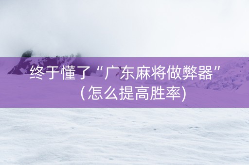 终于懂了“广东麻将做弊器”（怎么提高胜率)