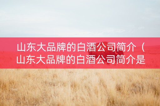 山东大品牌的白酒公司简介（山东大品牌的白酒公司简介是什么）