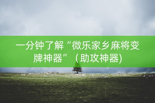 一分钟了解“微乐家乡麻将变牌神器”（助攻神器)