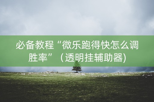 必备教程“微乐跑得快怎么调胜率”（透明挂辅助器)