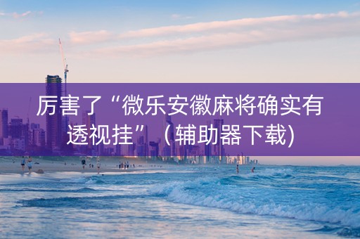 厉害了“微乐安徽麻将确实有透视挂”（辅助器下载)