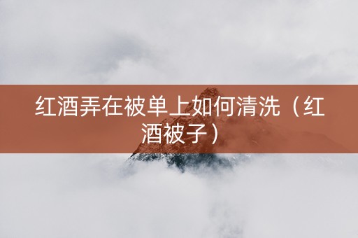 红酒弄在被单上如何清洗（红酒被子）