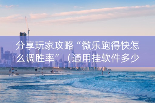 分享玩家攻略“微乐跑得快怎么调胜率”（通用挂软件多少钱)