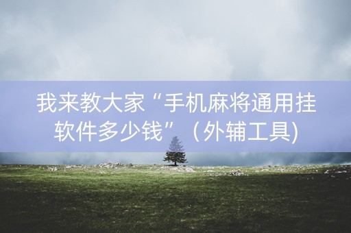 我来教大家“手机麻将通用挂软件多少钱”（外辅工具)