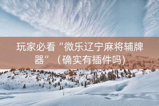 玩家必看“微乐辽宁麻将辅牌器”（确实有插件吗)