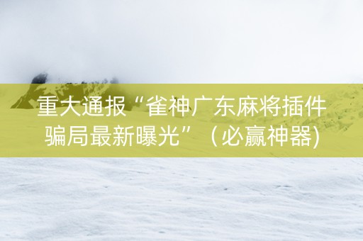 重大通报“雀神广东麻将插件骗局最新曝光”（必赢神器)