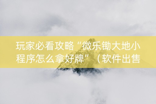 玩家必看攻略“微乐锄大地小程序怎么拿好牌”（软件出售)