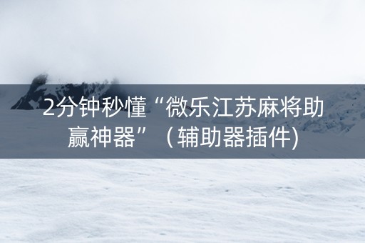 2分钟秒懂“微乐江苏麻将助赢神器”（辅助器插件)