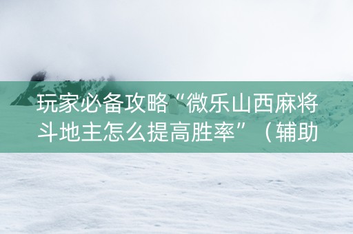 玩家必备攻略“微乐山西麻将斗地主怎么提高胜率”（辅助神器免费)