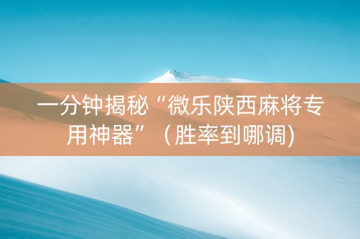 一分钟揭秘“微乐陕西麻将专用神器”（胜率到哪调)