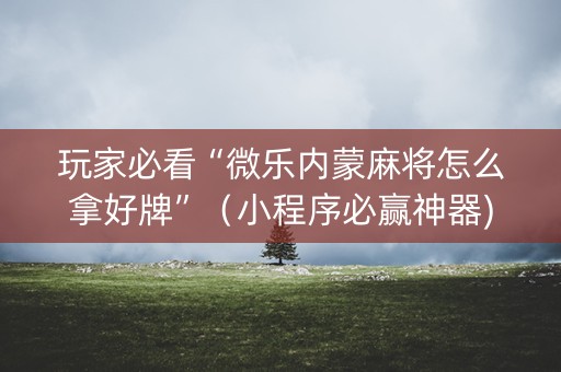 玩家必看“微乐内蒙麻将怎么拿好牌”（小程序必赢神器)