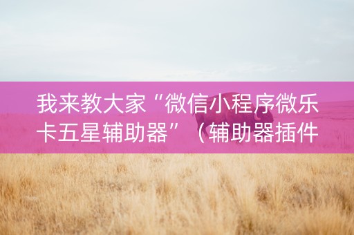 我来教大家“微信小程序微乐卡五星辅助器”（辅助器插件)