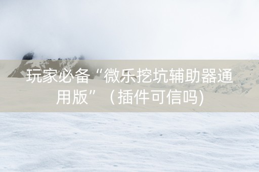 玩家必备“微乐挖坑辅助器通用版”（插件可信吗)