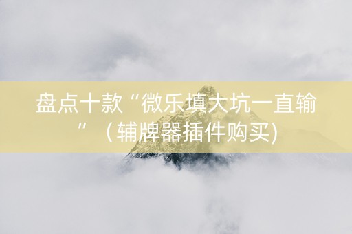 盘点十款“微乐填大坑一直输”（辅牌器插件购买)