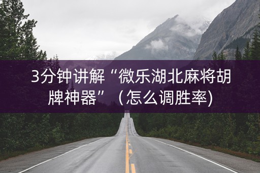 3分钟讲解“微乐湖北麻将胡牌神器”（怎么调胜率)