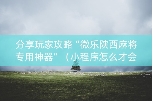 分享玩家攻略“微乐陕西麻将专用神器”（小程序怎么才会赢)