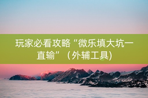 玩家必看攻略“微乐填大坑一直输”（外辅工具)