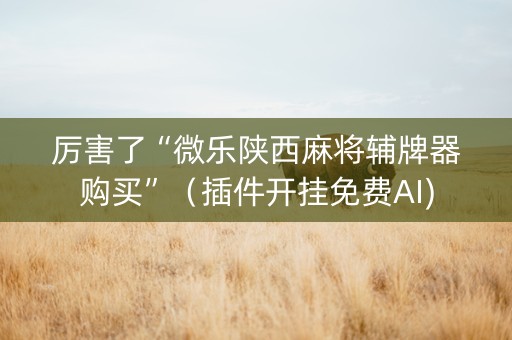 厉害了“微乐陕西麻将辅牌器购买”（插件开挂免费AI)
