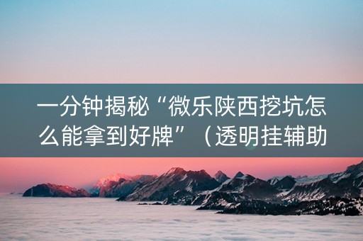 一分钟揭秘“微乐陕西挖坑怎么能拿到好牌”（透明挂辅助器)