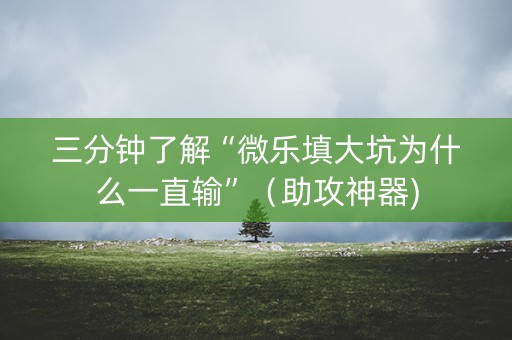 三分钟了解“微乐填大坑为什么一直输”（助攻神器)