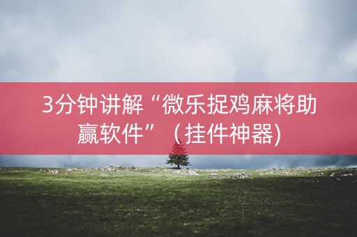 3分钟讲解“微乐捉鸡麻将助赢软件”（挂件神器)