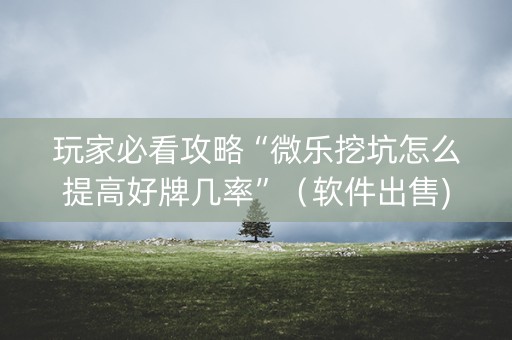 玩家必看攻略“微乐挖坑怎么提高好牌几率”（软件出售)