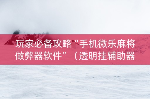 玩家必备攻略“手机微乐麻将做弊器软件”（透明挂辅助器)