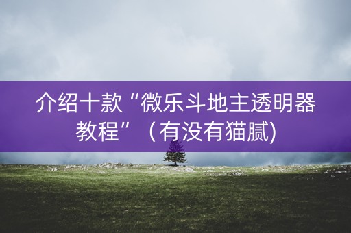 介绍十款“微乐斗地主透明器教程”（有没有猫腻)