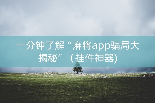 一分钟了解“麻将app骗局大揭秘”（挂件神器)
