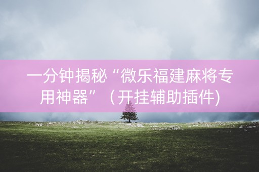 一分钟揭秘“微乐福建麻将专用神器”（开挂辅助插件)