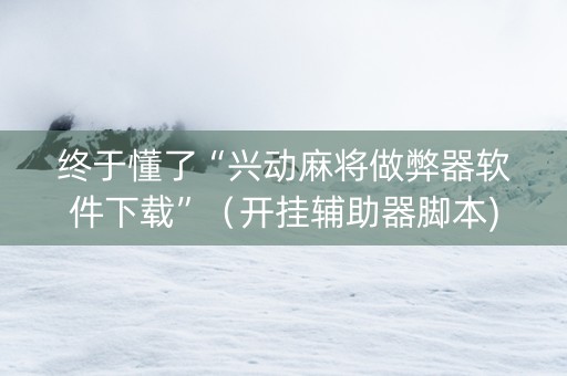 终于懂了“兴动麻将做弊器软件下载”（开挂辅助器脚本)