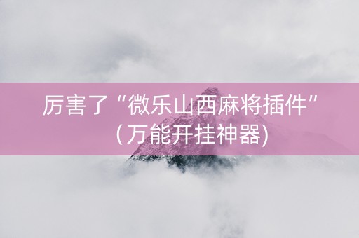 厉害了“微乐山西麻将插件”（万能开挂神器)