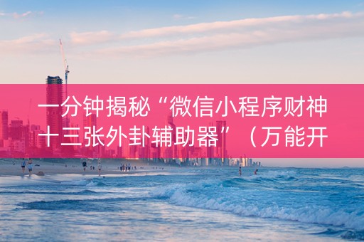 一分钟揭秘“微信小程序财神十三张外卦辅助器”（万能开挂神器)